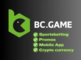 Unlocking the BC.CO Bonus Ultimate Guide for Gamers